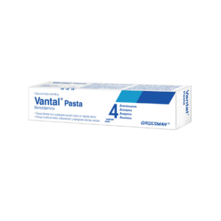 Vantal Pasta dental